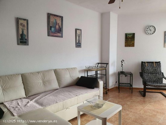 Apartamento en alquiler en Torrox (Málaga)