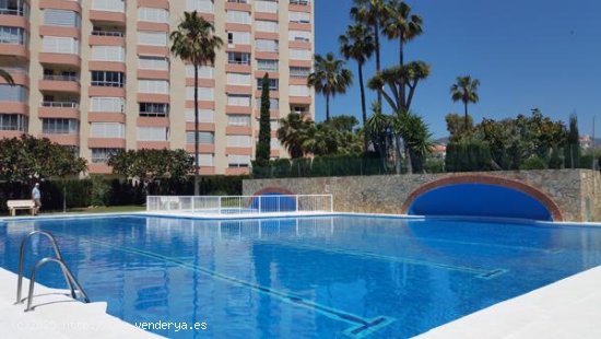 Apartamento en alquiler en Torrox (Málaga)