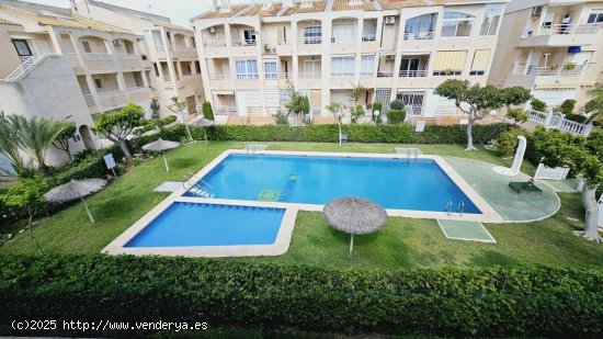  Apartamento en venta en Torrevieja (Alicante) 