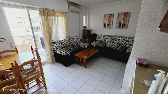 Apartamento en venta en Torrevieja (Alicante)