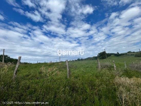 Parcela en venta en Ribadedeva (Asturias)