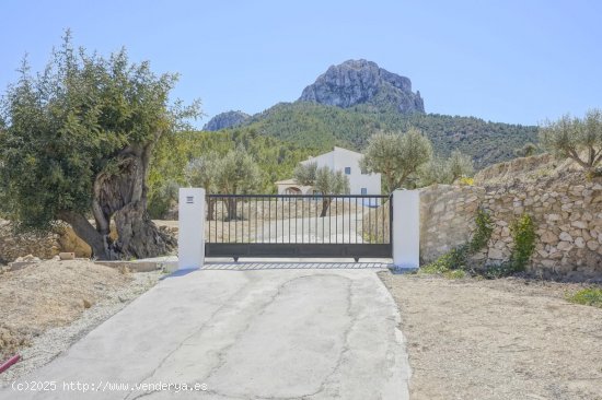 Finca en venta en Benissa (Alicante)