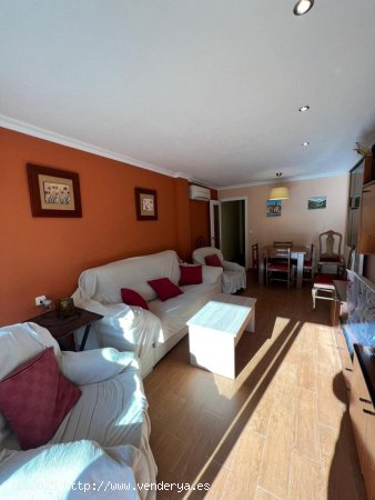 Apartamento en venta en Torrevieja (Alicante)