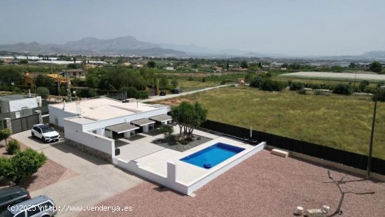 Villa en venta en Aspe (Alicante)