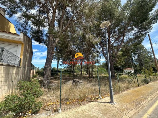 Parcela en venta en Mont-roig del Camp (Tarragona)