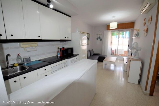 Apartamento en alquiler en Guardamar del Segura (Alicante)