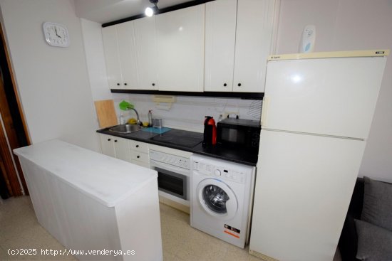 Apartamento en alquiler en Guardamar del Segura (Alicante)