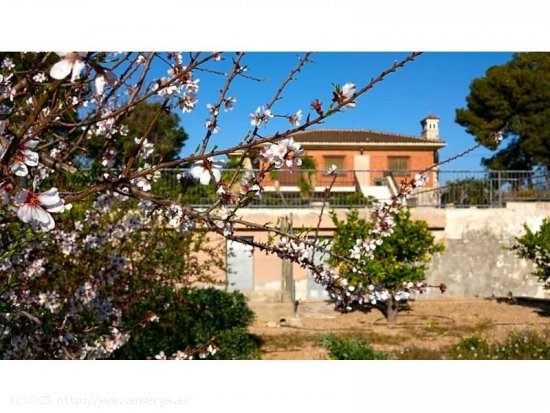 Finca en venta en Aspe (Alicante)