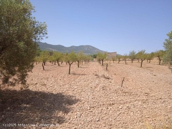 Solar en venta en La Romana (Alicante)