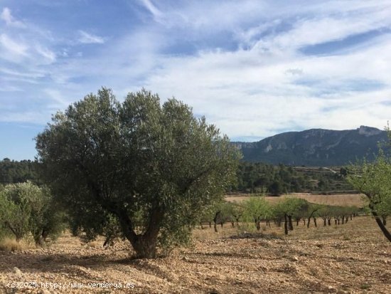 Solar en venta en La Romana (Alicante)