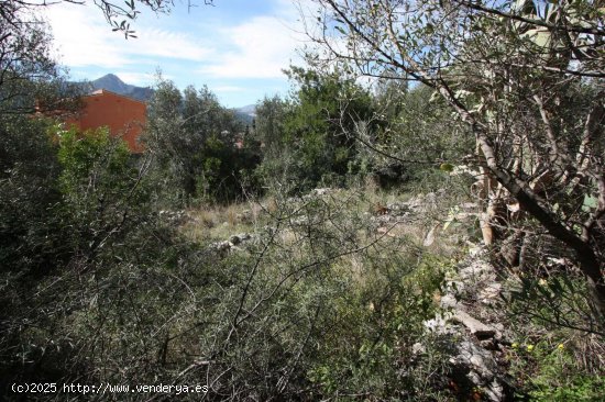 Parcela en venta en Orba (Alicante)