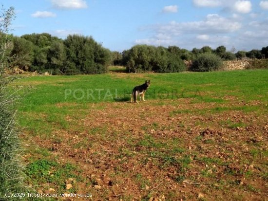 Parcela en venta en Ciutadella de Menorca (Baleares)