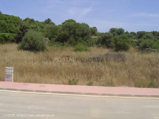  Parcela en venta en Alaior (Baleares) 