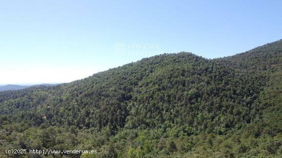 Casa en venta en Maçanet de Cabrenys (Girona)