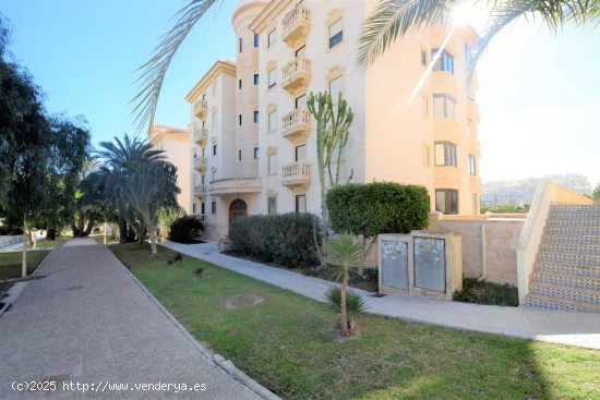 Apartamento en alquiler en Guardamar del Segura (Alicante)