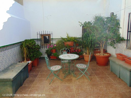 Finca en venta en Fuente Álamo de Murcia (Murcia)