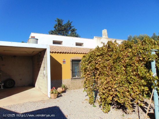 Finca en venta en Fuente Álamo de Murcia (Murcia)