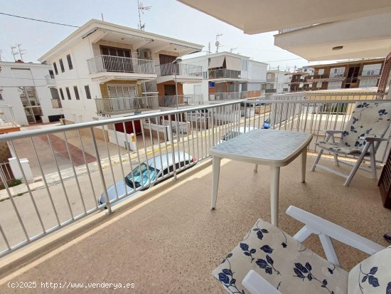 Apartamento en alquiler en Oliva (Valencia)