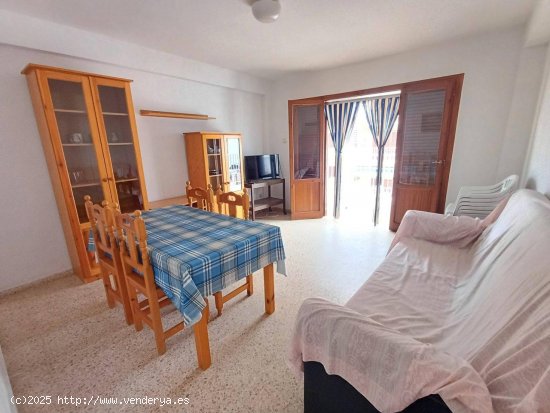 Apartamento en alquiler en Oliva (Valencia)