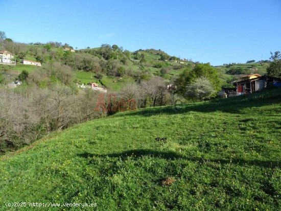 Parcela en venta en Oviedo (Asturias)