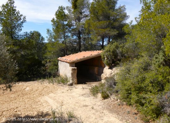  Finca en venta en Arens de Lledó (Teruel) 