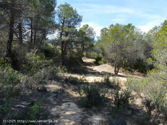 Finca en venta en Arens de Lledó (Teruel)