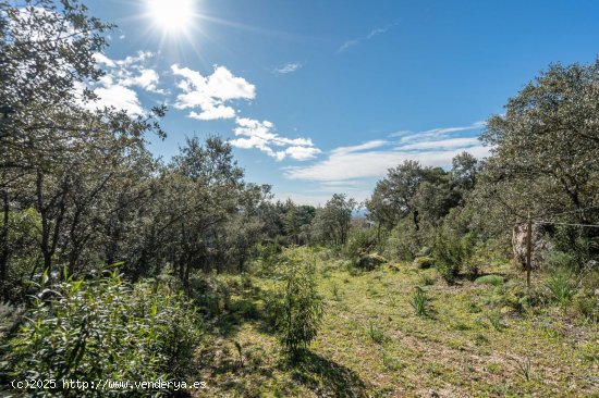 Parcela en venta en Torrelodones (Madrid)