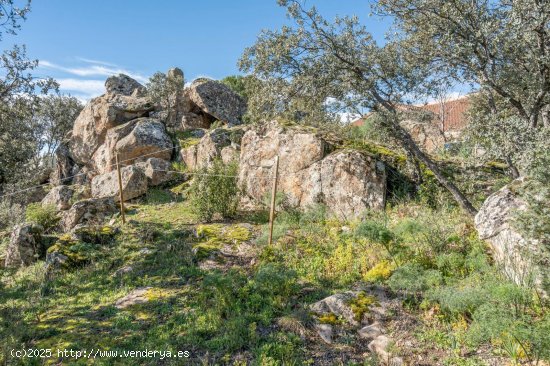 Parcela en venta en Torrelodones (Madrid)