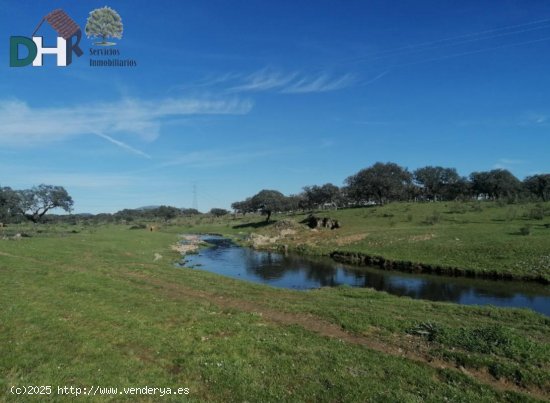 Solar en venta en Cáceres (Cáceres)