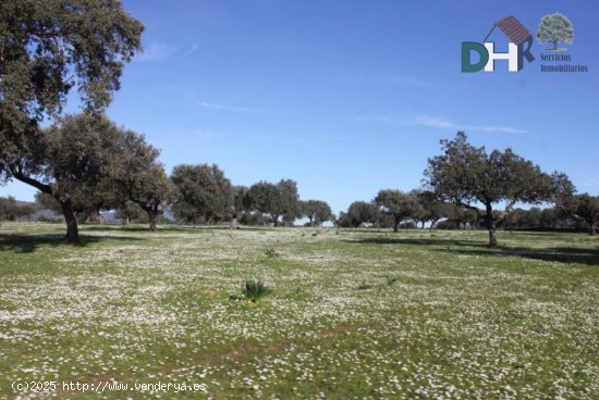 Solar en venta en Cáceres (Cáceres)