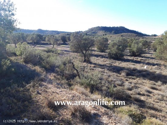 Finca en venta en Fabara (Zaragoza)