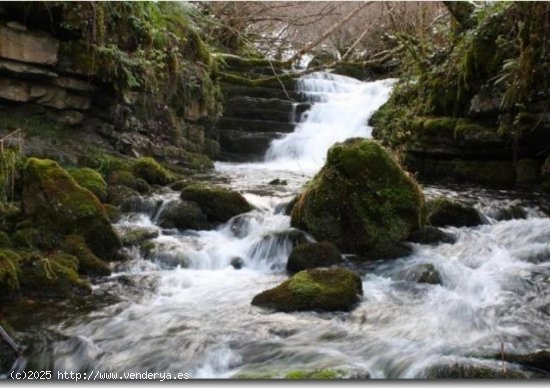 Parcela en venta en Rionansa (Cantabria)