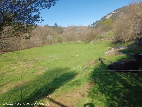 Parcela en venta en Celis (Cantabria)