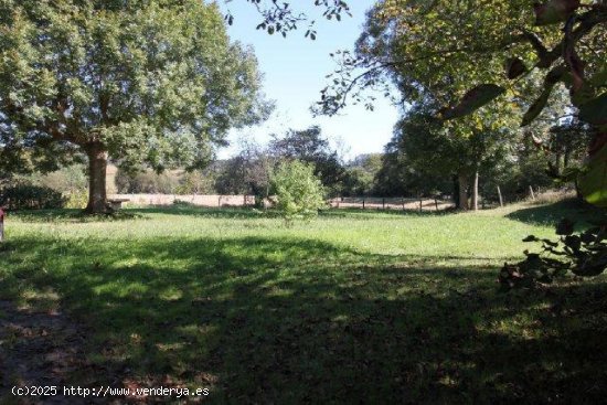 Parcela en venta en La Cavada (Cantabria)