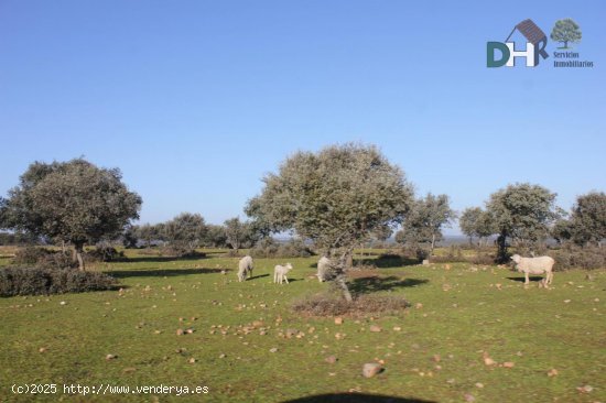 Solar en venta en Cáceres (Cáceres)