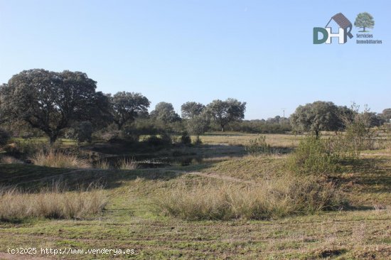 Solar en venta en Cáceres (Cáceres)