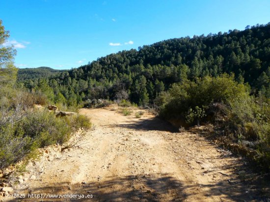 Finca en venta en Calaceite (Teruel)