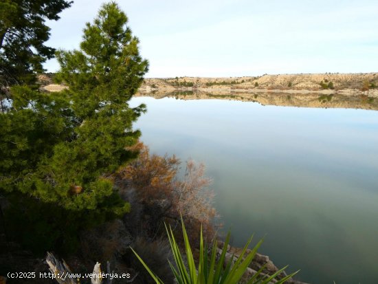 Finca en venta en Caspe (Zaragoza)