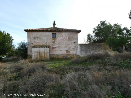 Finca en venta en Caspe (Zaragoza)