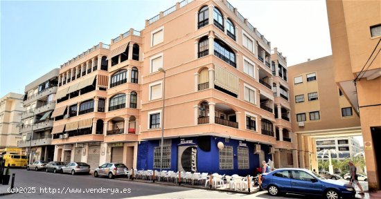  Apartamento en alquiler en Guardamar del Segura (Alicante) 