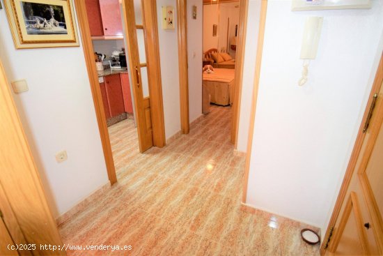 Apartamento en alquiler en Guardamar del Segura (Alicante)