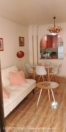 Apartamento en alquiler en Guardamar del Segura (Alicante)