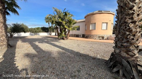  Villa en venta en Catral (Alicante) 