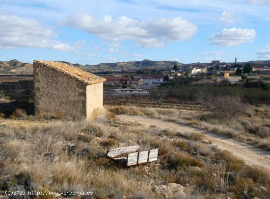  Finca en venta en Maella (Zaragoza) 