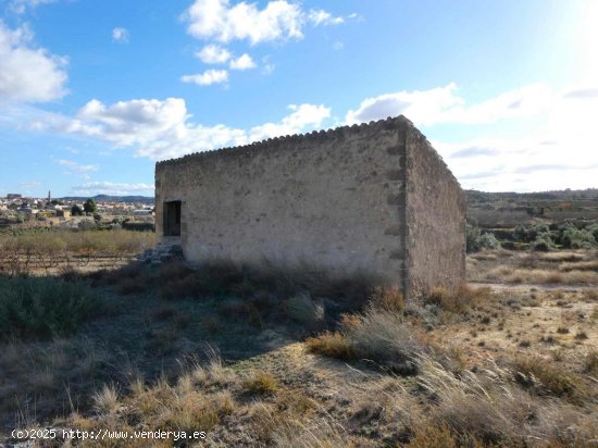 Finca en venta en Maella (Zaragoza)