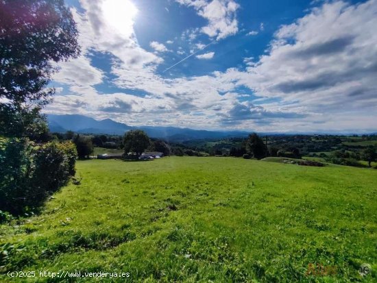  Parcela en venta en Oviedo (Asturias) 