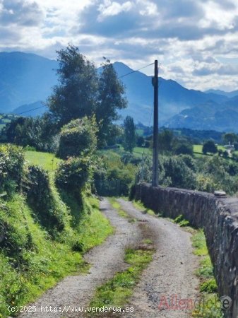 Parcela en venta en Oviedo (Asturias)