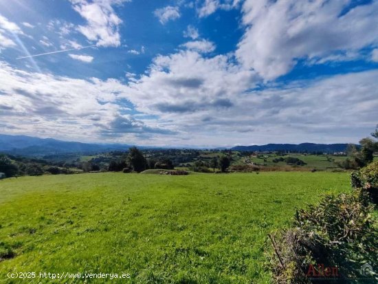 Parcela en venta en Oviedo (Asturias)