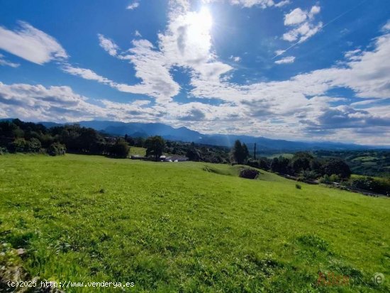 Parcela en venta en Oviedo (Asturias)