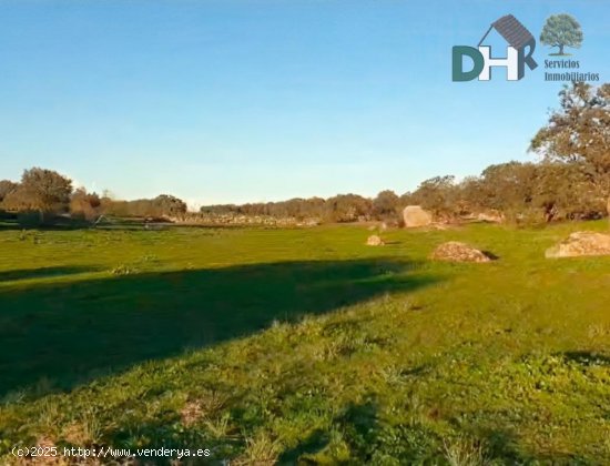  Solar en venta en Cáceres (Cáceres) 